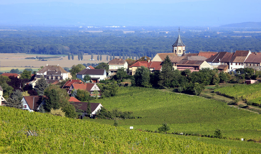 Fenomen Nürnberg Ve Alsace İle Noel Pazarları Turu-4