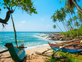 Elegant Sri Lanka Turu - Ekstra Turlar Dahil 18 Ekim - 25 Ekim 2025