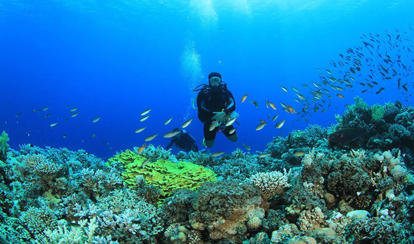Hurghada Turu-5 Hurghada Turu-5