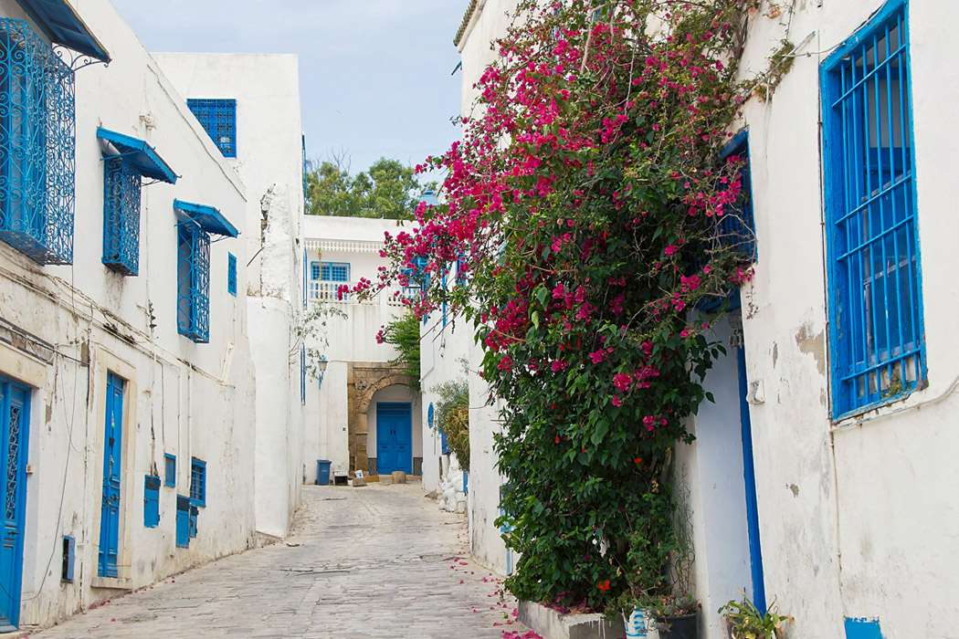 Tunus Çöl Safarisi Turu-3