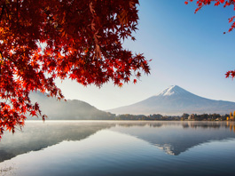 Akağaç (Momiji) Mevsimi Japonya - Güney Kore Turu 09 Kasım - 17 Kasım 2025