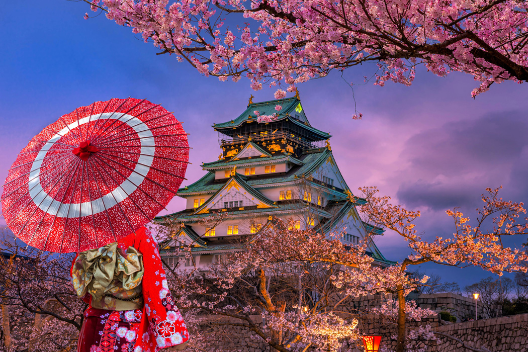 Uzak Doğu’nun Çiçeği Ve Güneşi Güney Kore Ve Japonya Turu-2