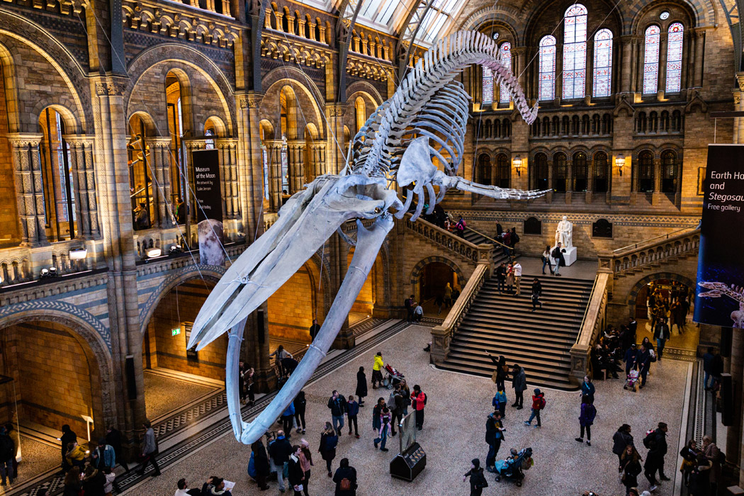 Sömestr Özel Büyülü Londra Turu-10