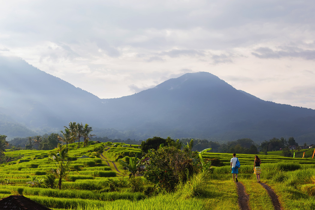 Ankara Çıkışlı Bali - Ubud Turu-2