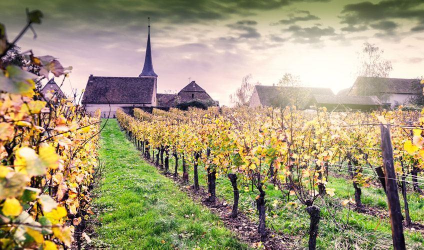 İzmir Çıkışlı Noel Pazarları Turu-8