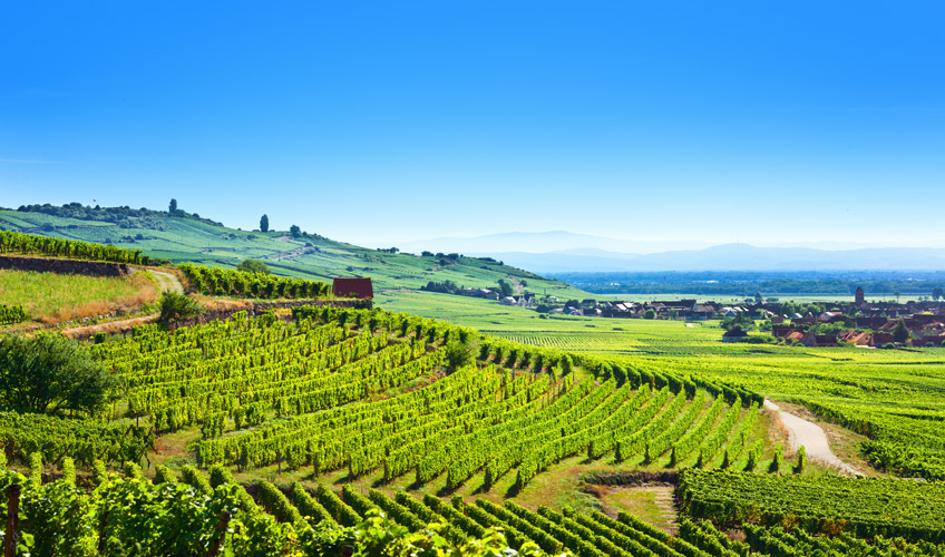 İzmir Çıkışlı Noel Pazarları Turu-10