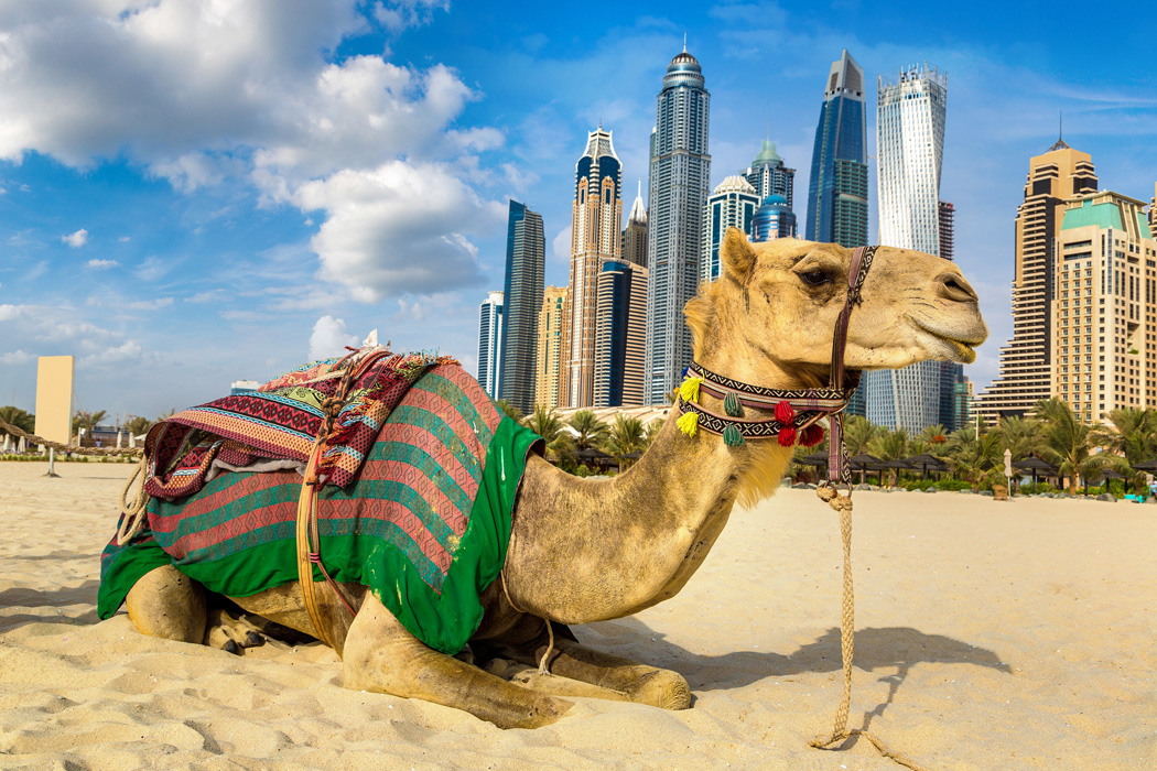 Çölün Ortasındaki Vaha Dubai Turu - Dubai Şehir Turu Ve Vize Dahil!-9