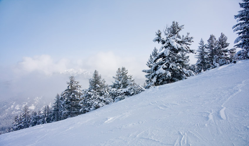 Otobüs İle Bansko Turu-6 Otobüs İle Bansko Turu-6