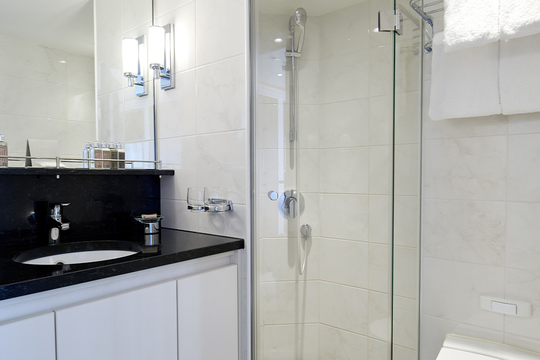 Ankara Hareketli Charles Dickens Gemisi İle Ren Nehri’nde Noel Pazarları Turu-7