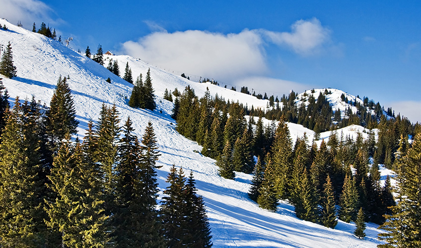 Yılbaşı Özel Jahorina Rüyası Turu-11