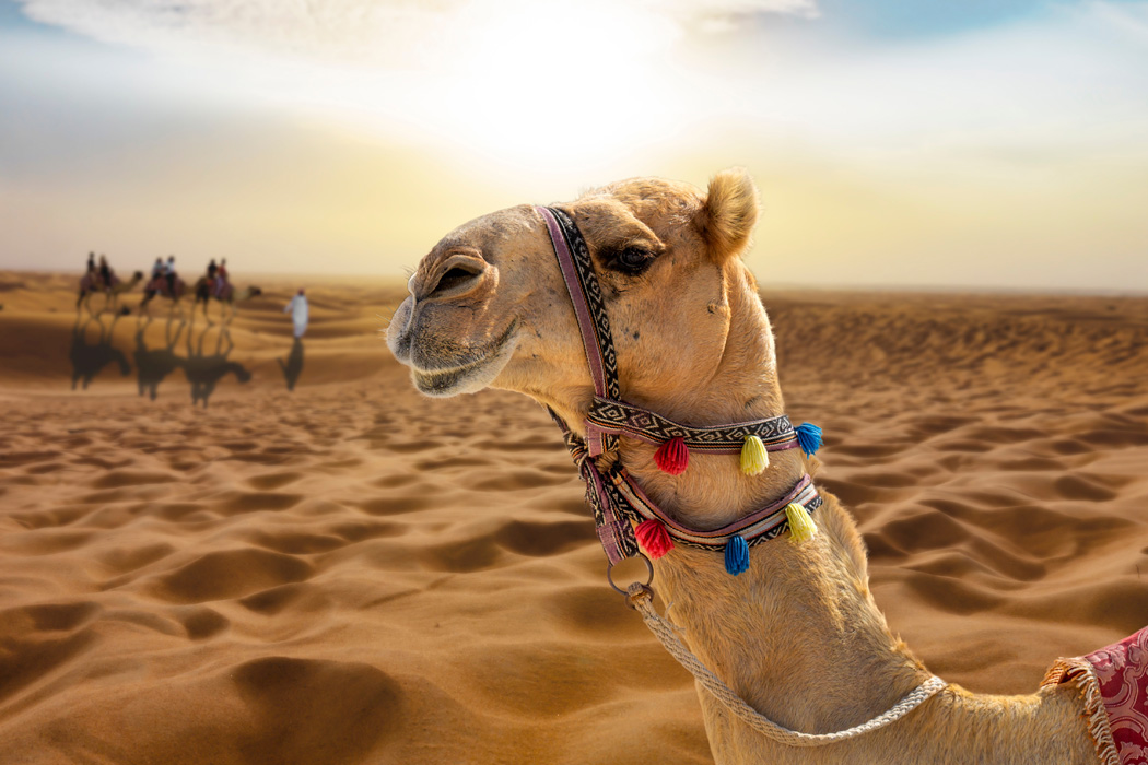 Bir Dubai Masalı Turu - Vize Dahil - Dubai Şehir Turu Ve Abra Geçişi Dahil!-9 Bir Dubai Masalı Turu - Vize Dahil - Dubai Şehir Turu Ve Abra Geçişi Dahil!-9