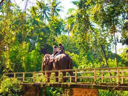 Elegant Sri Lanka Turu - Ekstra Turlar Dahil! 10 Şubat - 17 Şubat 2026