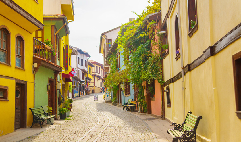 Ara Tatil Özel Bursa - Eskişehir - Sapanca - Maşukiye Turu-9