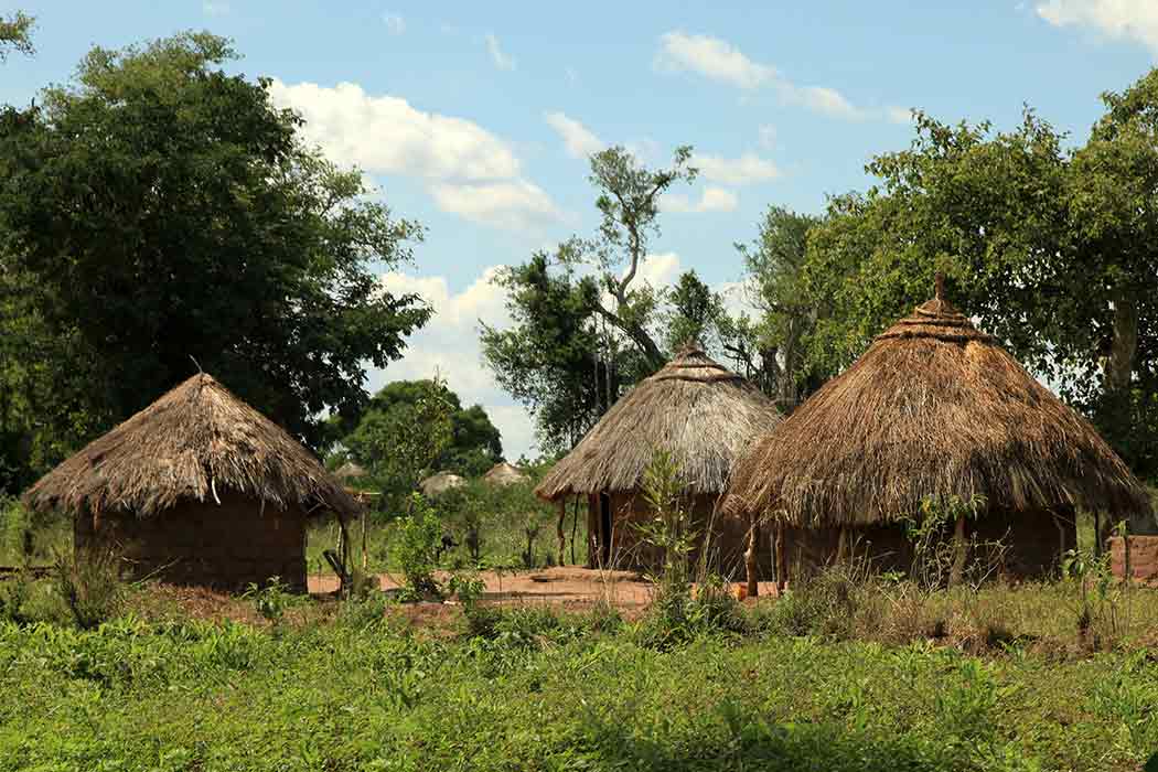 Elegant Uganda Turu - Tüm Yemekler Dahil! Tüm Çevre Gezileri Ve Turlar Dahil!-2