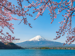 Sakura Döneminde Gelenekten Geleceğe - Japonya Turu 12 Nisan - 23 Nisan 2026