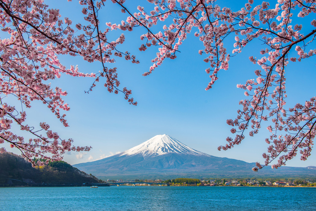 Sakura Döneminde Gelenekten Geleceğe - Japonya Turu-2