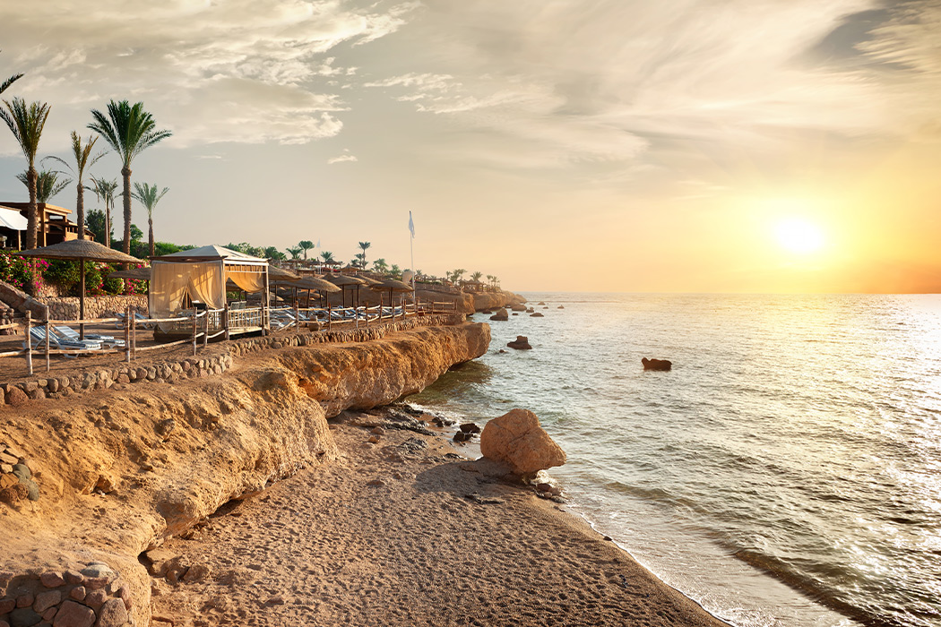 İzmir Hareketli Sharm El Sheikh - Kahire Ve İskenderiye Turu-2