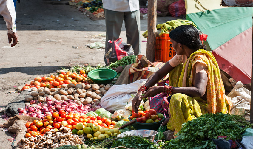 Hindistan Altın Üçgen - Nepal Turu - Tüm Çevre Gezileri Dahil!-9