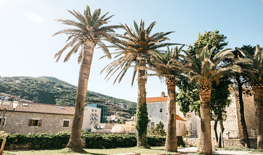 Ramazan Bayramı Özel Budva Rüyası Turu-10