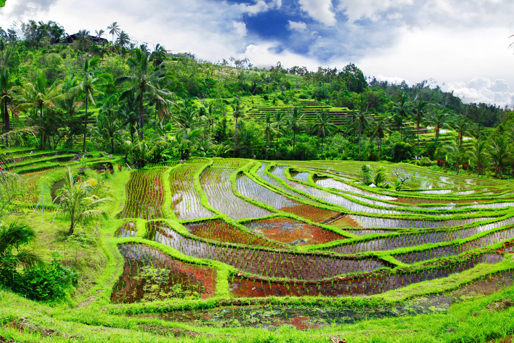Kurban Bayramı Özel Rüya Ada Bali - Ubud Turu-9