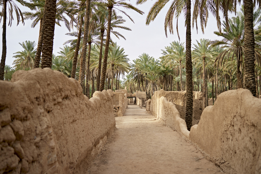 Cidde Grand Prix Turu - Al Ula - Medine Gezisi Dahil-3