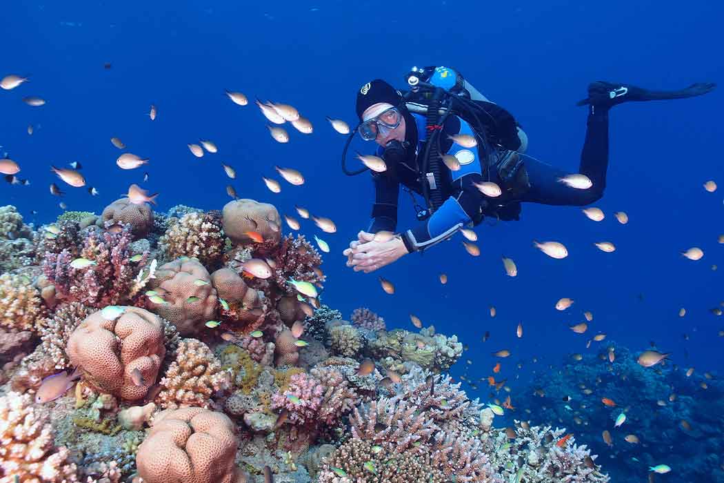 Sharm El Sheikh Turu - Gündüz Uçağı-4 Sharm El Sheikh Turu - Gündüz Uçağı-4