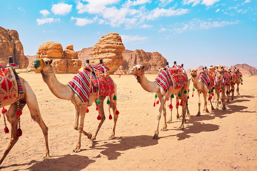 Suudi Arabistan Al Ula Zamanda Yolculuk Turu-4 Suudi Arabistan Al Ula Zamanda Yolculuk Turu-4