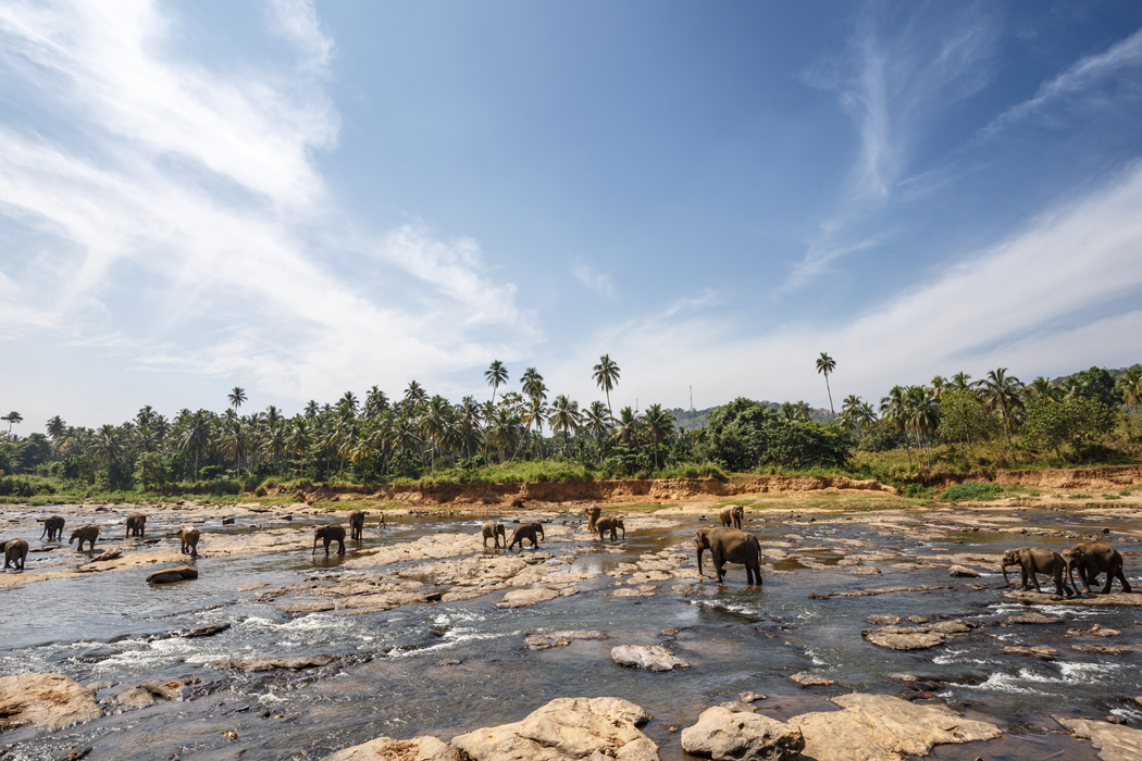 Madagaskar - Seyşeller Turu-5