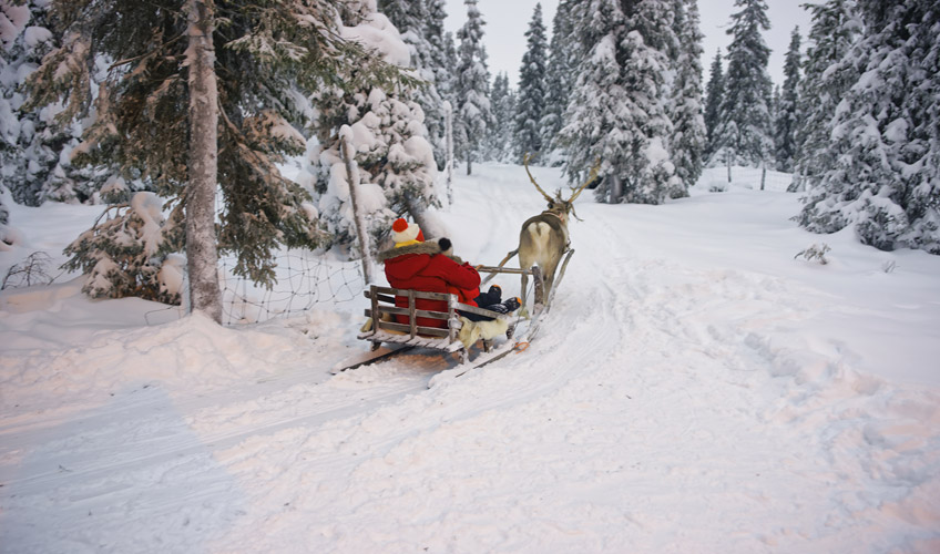 İzmir Çıkışlı Büyüleyici Kuzey Işıkları - Lapland Turu-9 İzmir Çıkışlı Büyüleyici Kuzey Işıkları - Lapland Turu-9