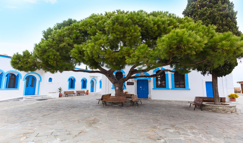 Otobüs İle İskeçe Karnavalı Turu-4