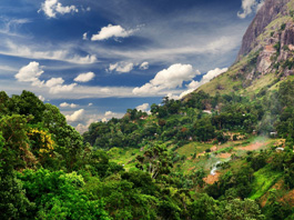 Kurban Bayramı Özel Sri Lanka Turu - Tüm Turlar Dahil! 24 Mayıs - 30 Mayıs 2026