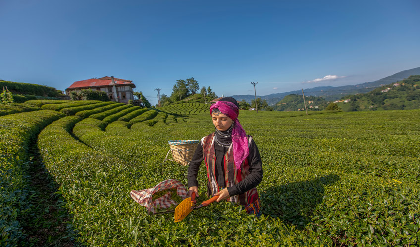 Uçaklı Butik Batum - Noel Pazarları Turu-10