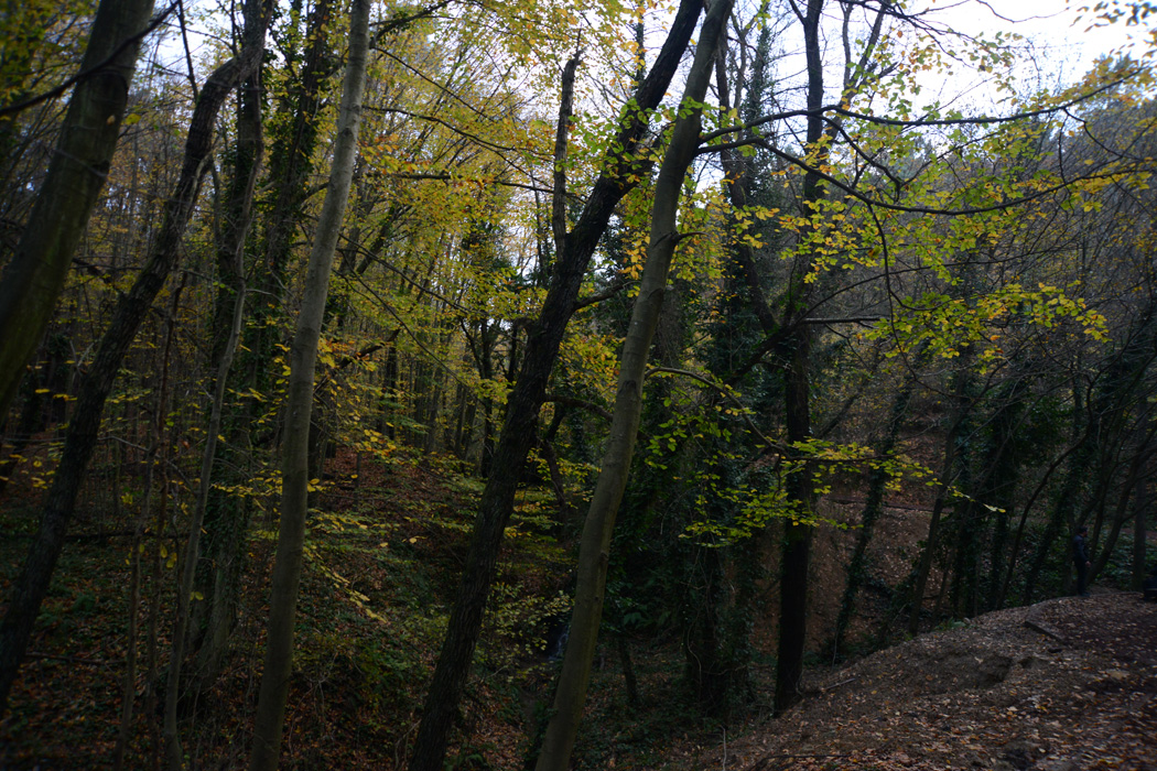 Sömestir Özel Günübirlik Şile - Ağva - Polonezköy Turu-5
