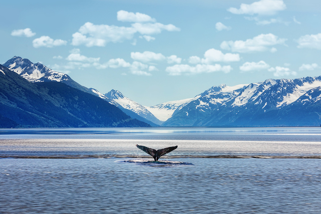 Büyük Alaska - Kanada Turu-10