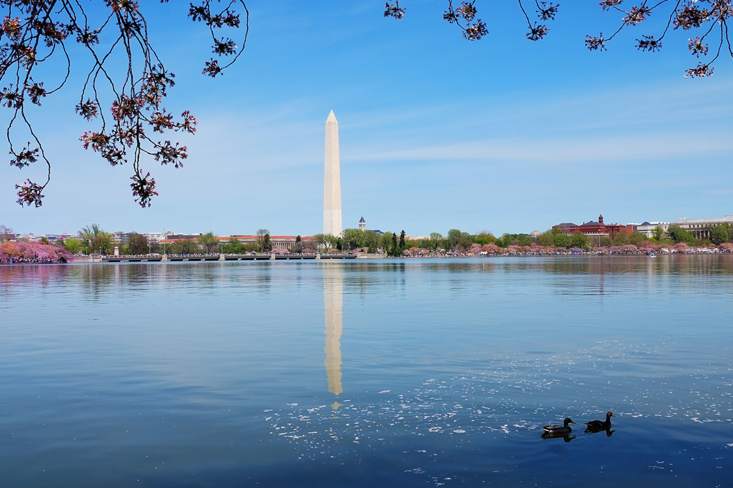 Kuzey Amerika New York - Philadelphia - Washington - Atlantic City Turu-9