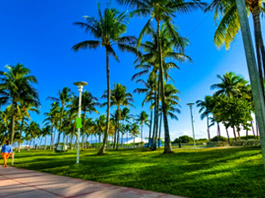 Miami - Orlando Turu 24 Ocak - 31 Ocak 2026