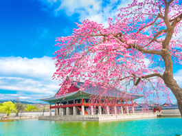 Elegant Japonya - Güney Kore Turu - Ekstra Turlar Dahil! 13 Nisan - 21 Nisan 2026