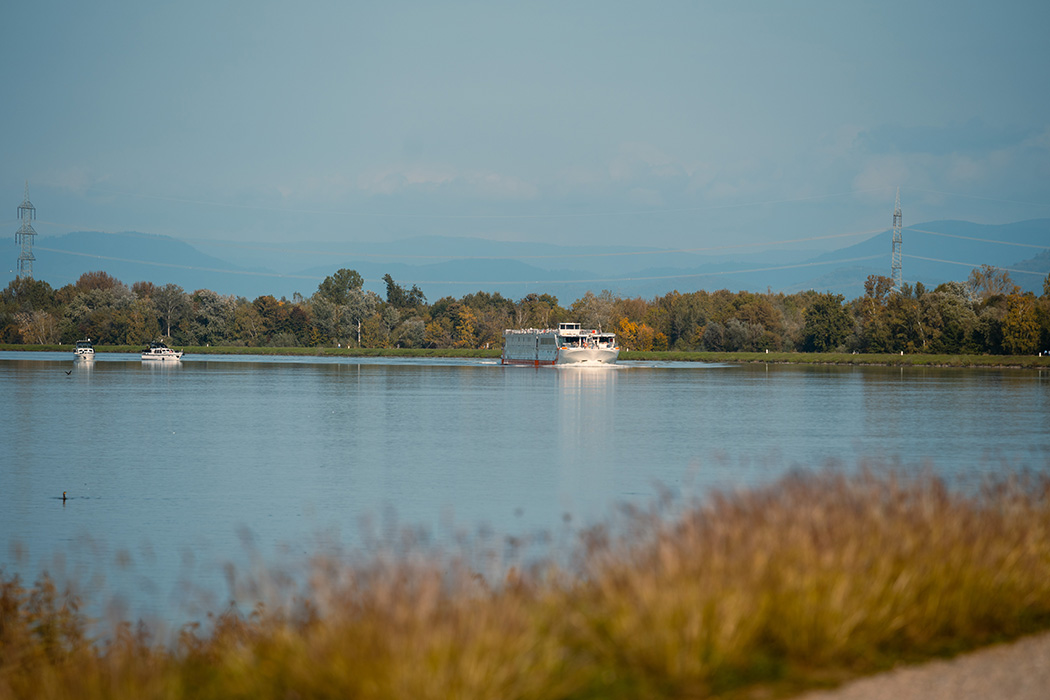 Ms Vista Rio İle Kuzey Kanalları Turu-7