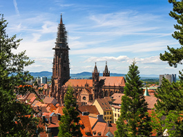 19 Mayıs Özel İsviçre - Fransa - Almanya Turu 16 Mayıs - 19 Mayıs 2026