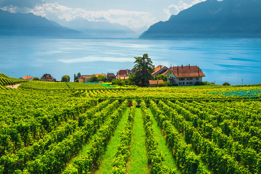 Kurban Bayramı Özel İsviçre'nin Altın Üçgeni Zürih - Bern - Cenevre Turu-9