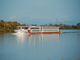 Ms Vista Rio İle Romantik Ren Nehri Turu 26 Ağustos - 02 Eylül 2026