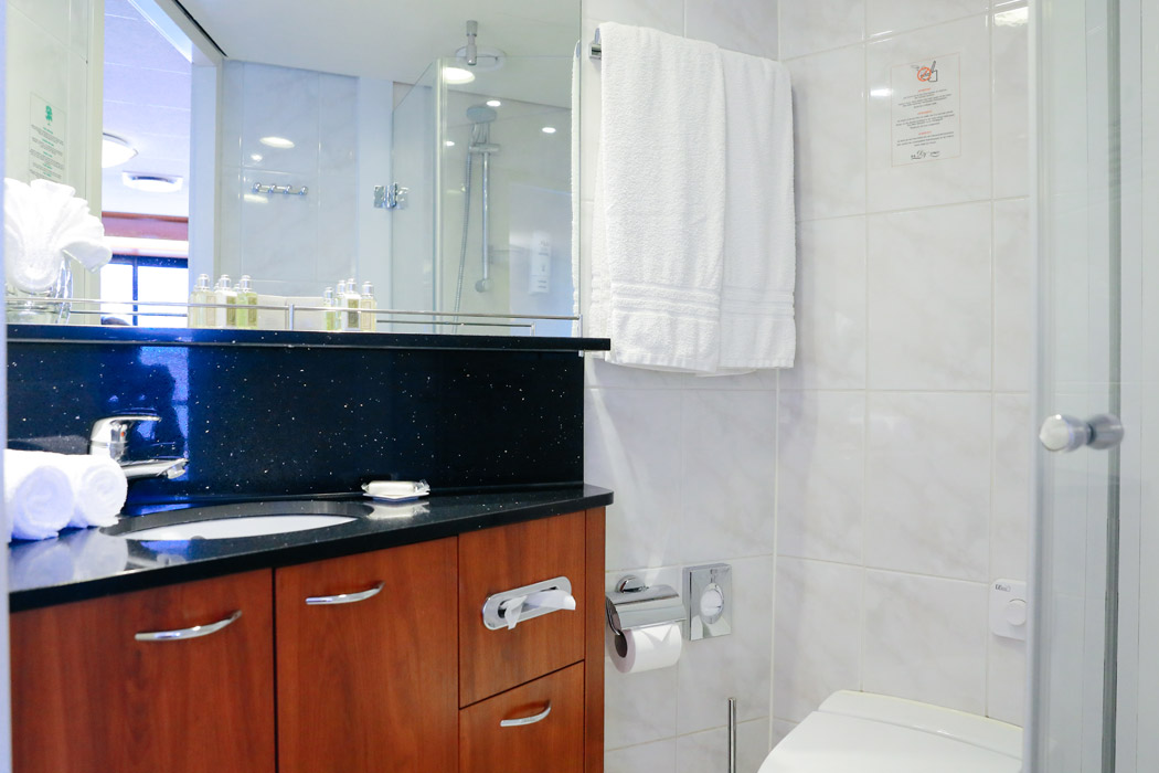 Mps Vista Gracia İle Romantik Ren Nehri Turu-3