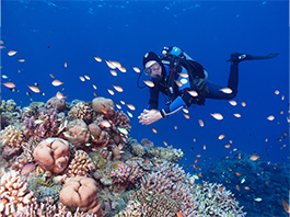 Sömestr Özel Sharm El Sheikh Turu 26 Ocak - 31 Ocak 2026