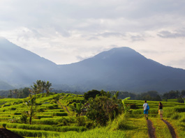 Görkemli Tropikal Ada: Bali Turu 29 Haziran - 06 Temmuz 2026