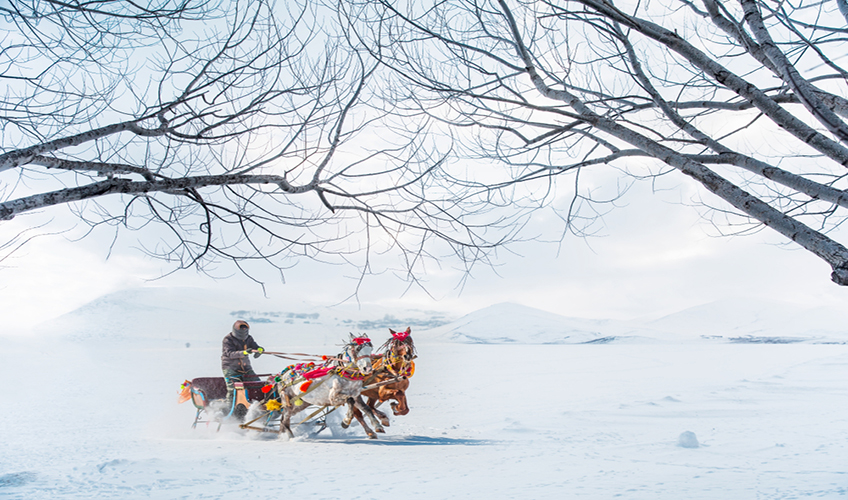 Turistik Doğu Ekspresi İle Kars Turu-10