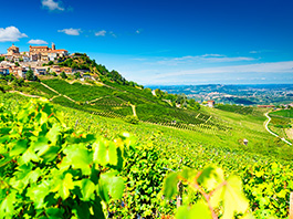 Beyaz Trüf’ün İzinde İtalya Piedmont Bölgesi Turu 25 Ekim - 29 Ekim 2026