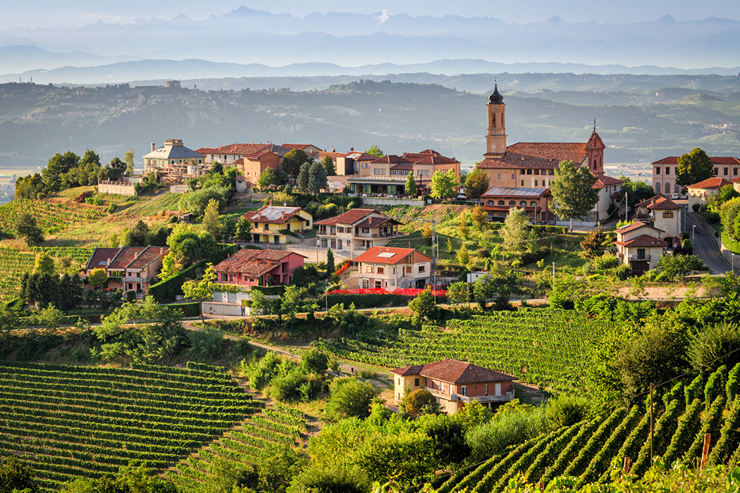 Beyaz Trüf’ün İzinde İtalya Piedmont Bölgesi Turu-3