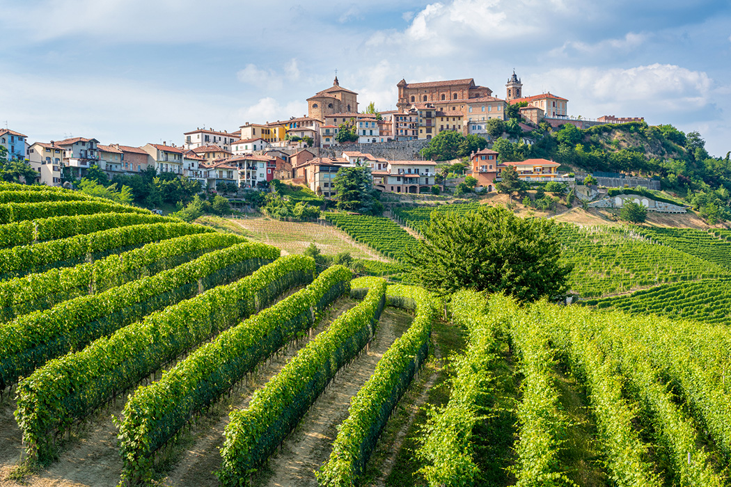 Beyaz Trüf’ün İzinde İtalya Piedmont Bölgesi Turu-5