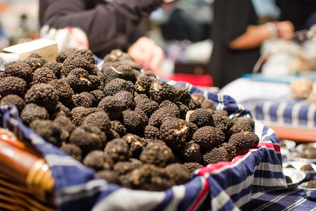 Beyaz Trüf’ün İzinde İtalya Piedmont Bölgesi Turu-6