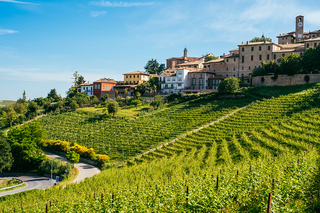 Beyaz Trüf’ün İzinde İtalya Piedmont Bölgesi Turu-7